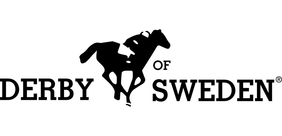 derby of sweden